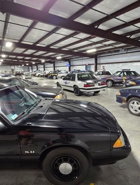 Largest Mustang Museum in the Southeast is right here in Alabama